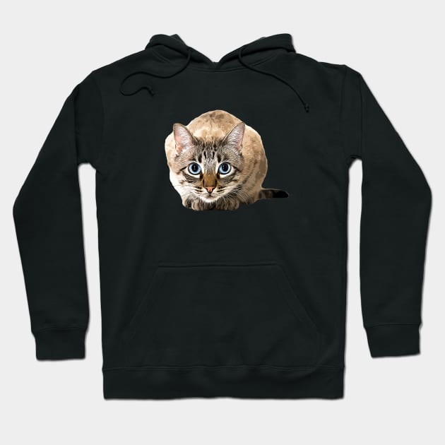 Bengal Cat Snow Mink Beauty Hoodie by ElegantCat